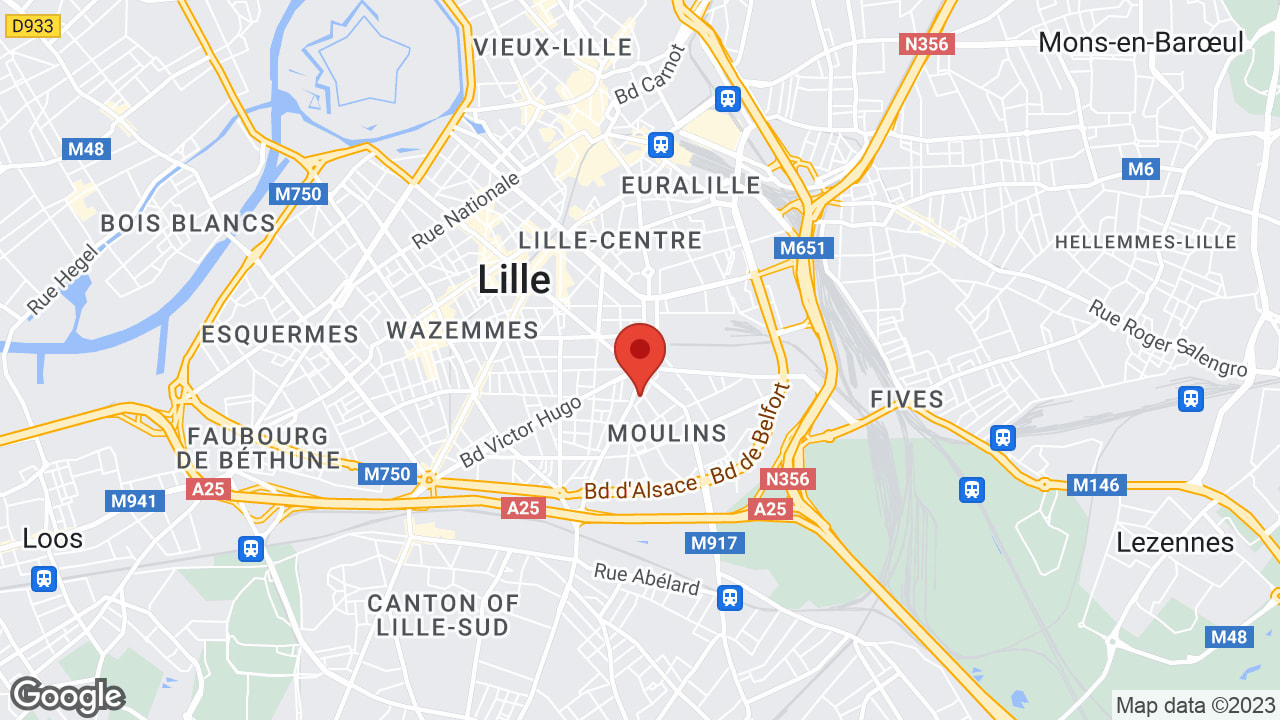 Google map
