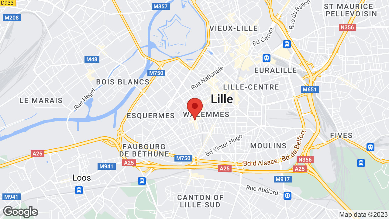 Google map