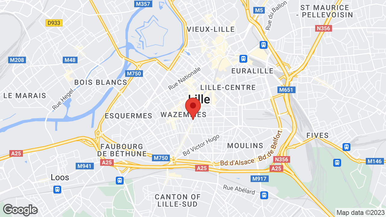 Google map