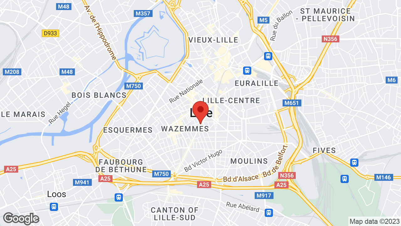 Google map