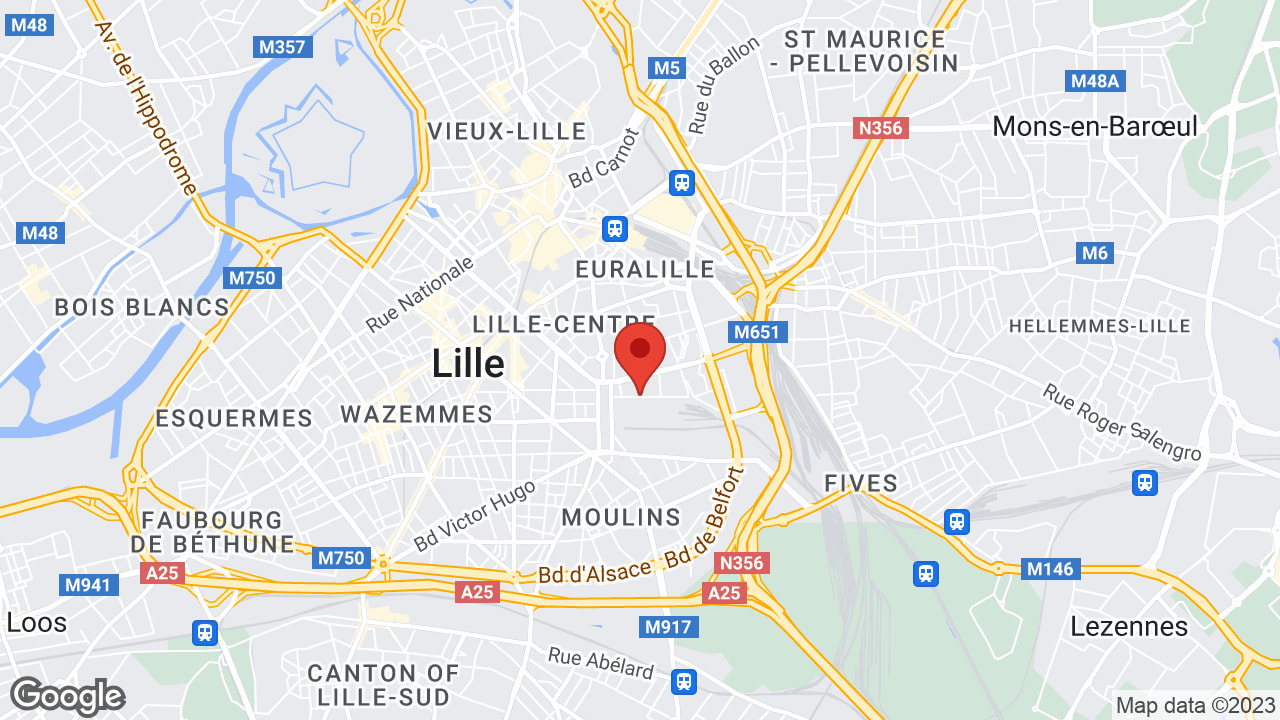 Google map