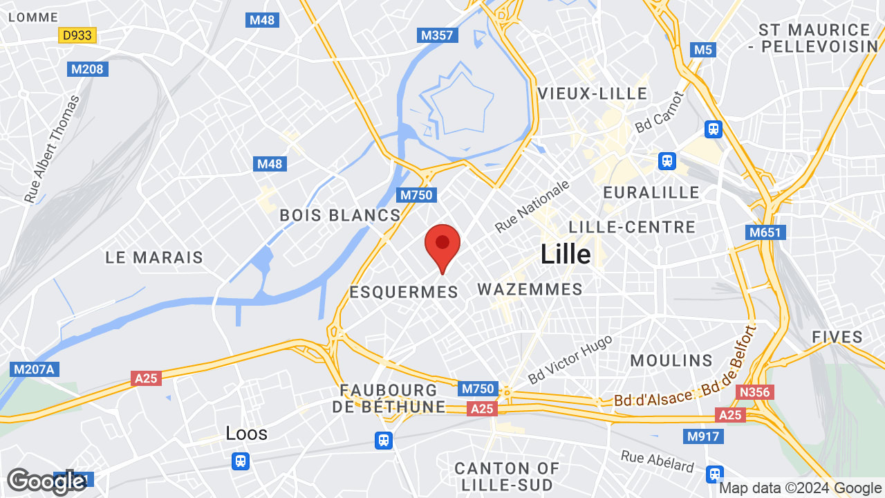 Google map