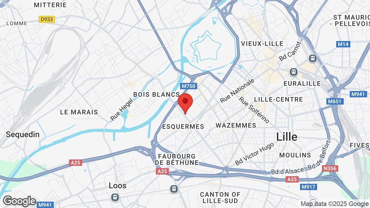 Google map