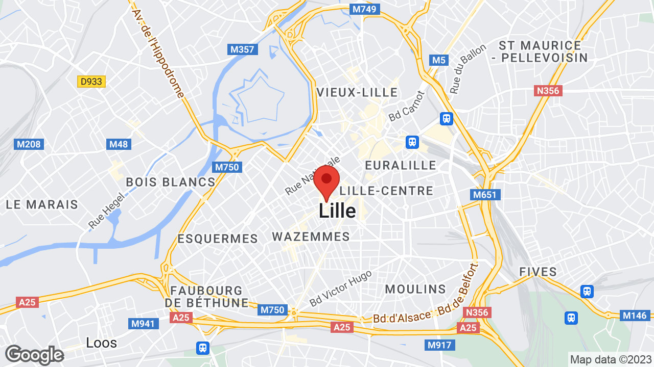 Google map
