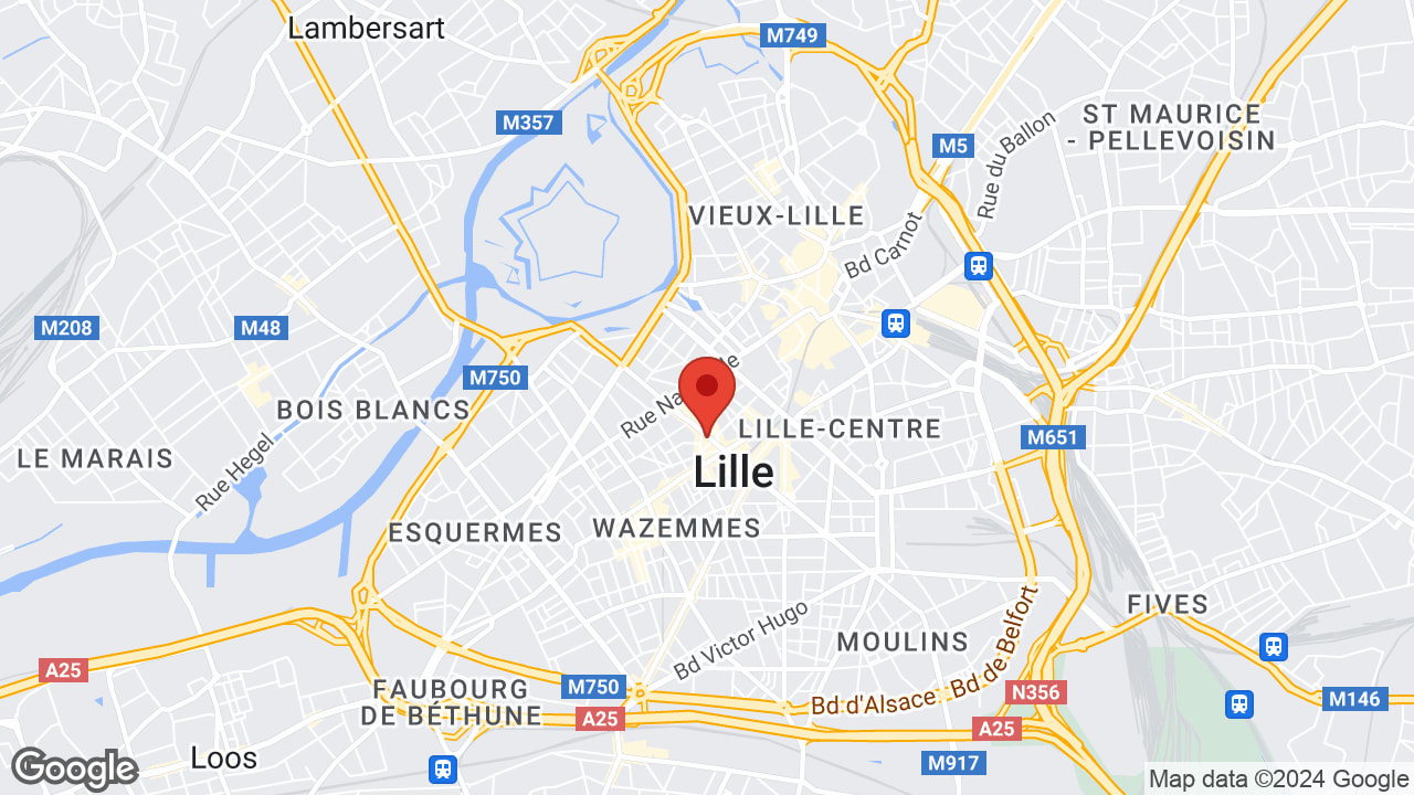 Google map