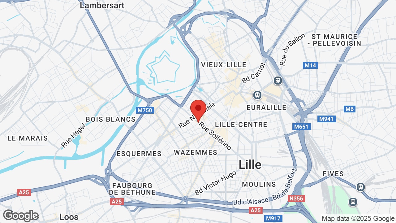 Google map