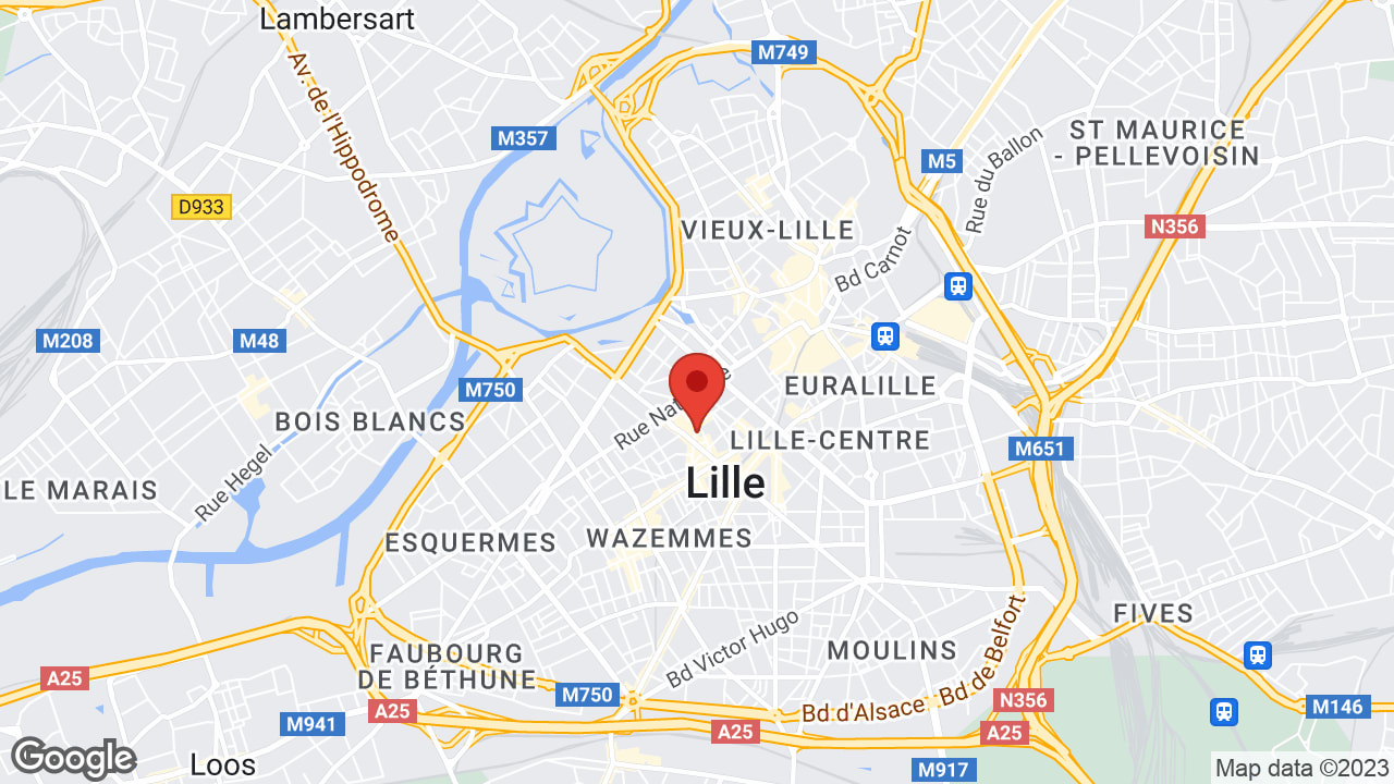 Google map