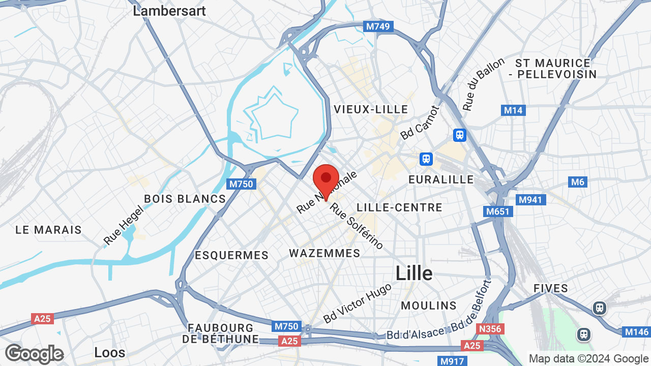 Google map