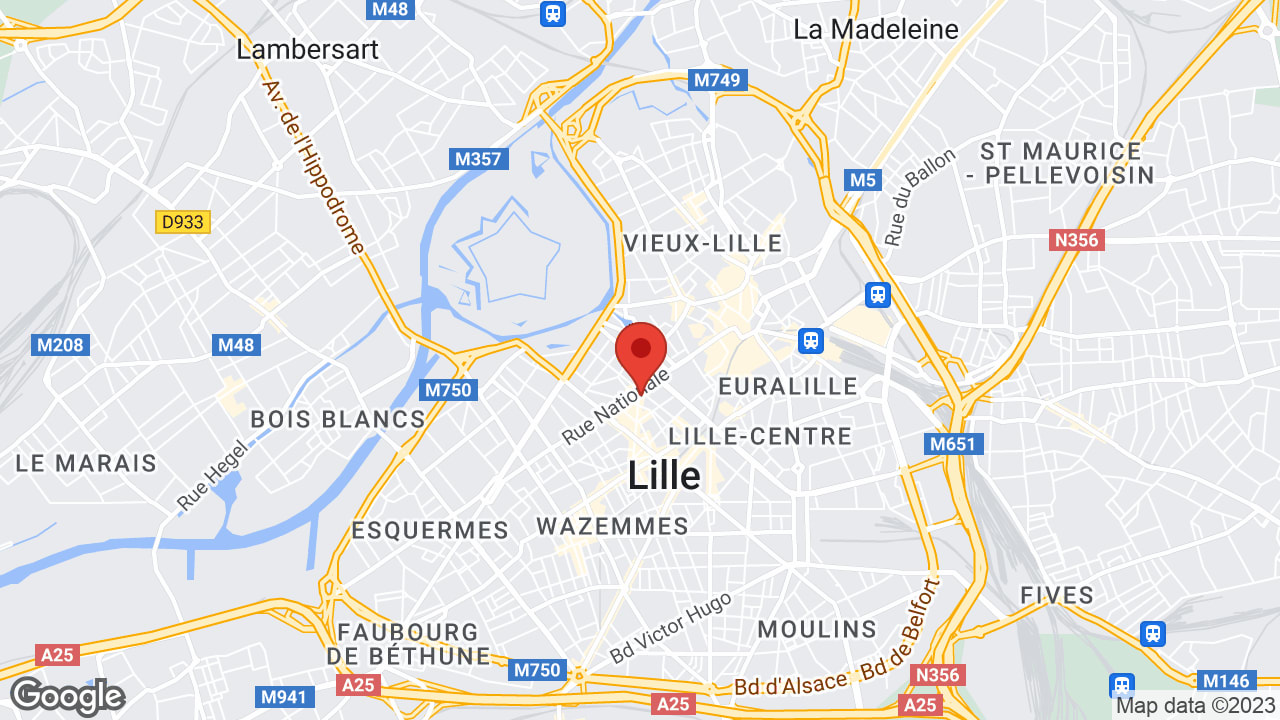 Google map
