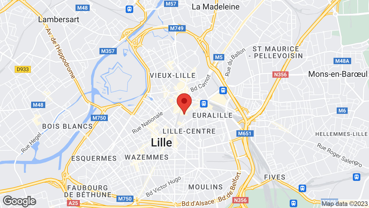 Google map