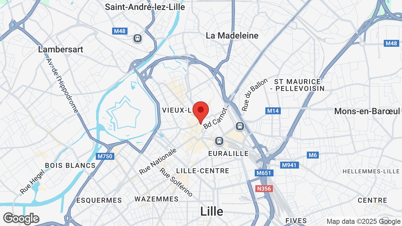 Google map
