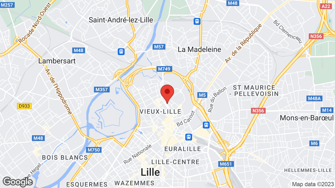Google map