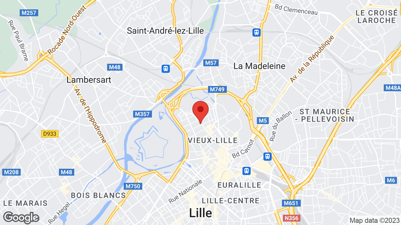 Google map