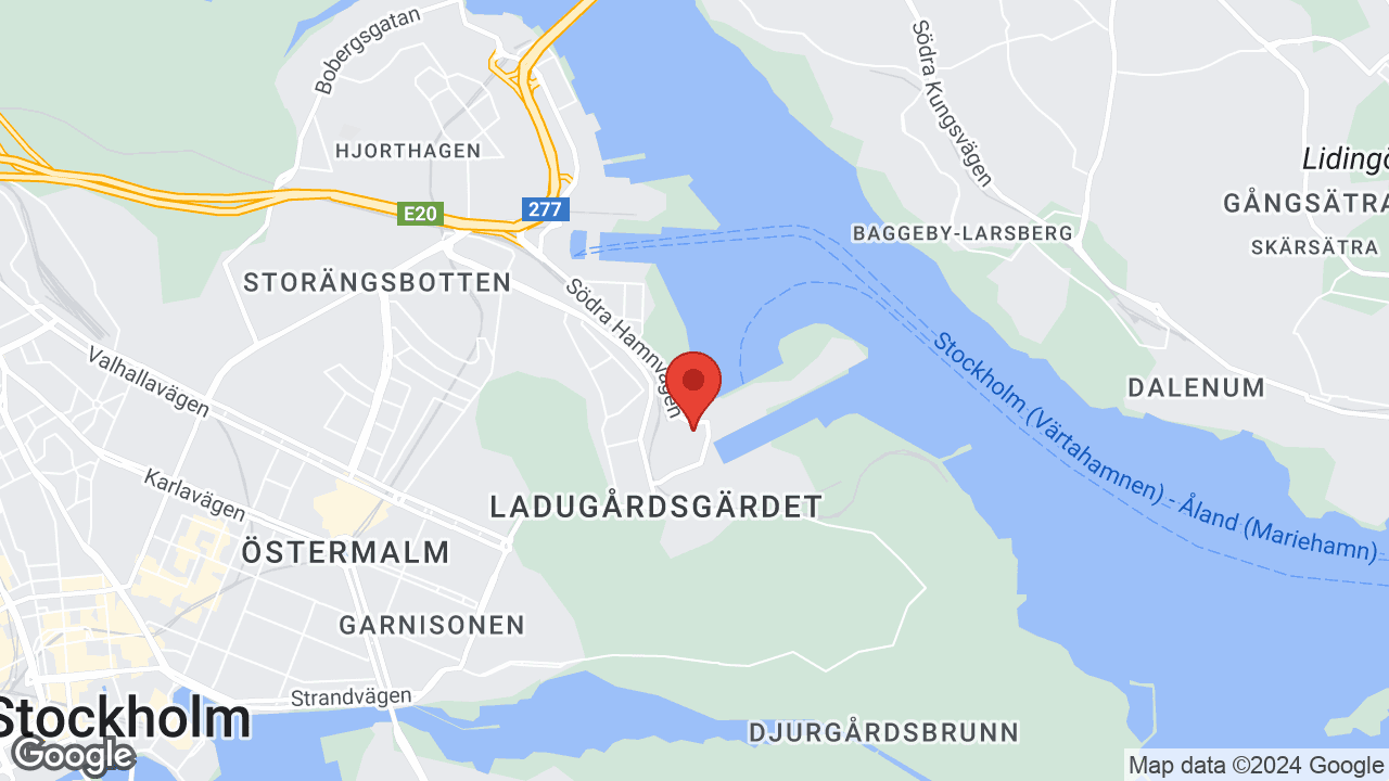 Google map