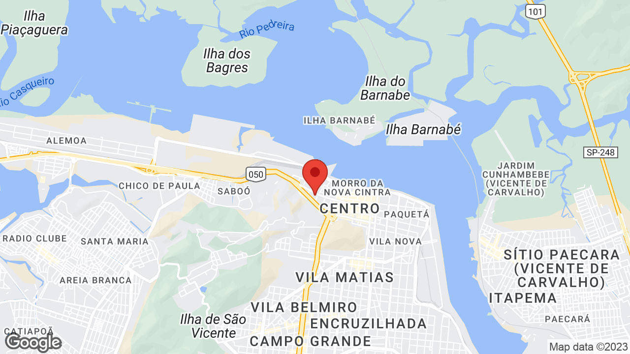 Google map
