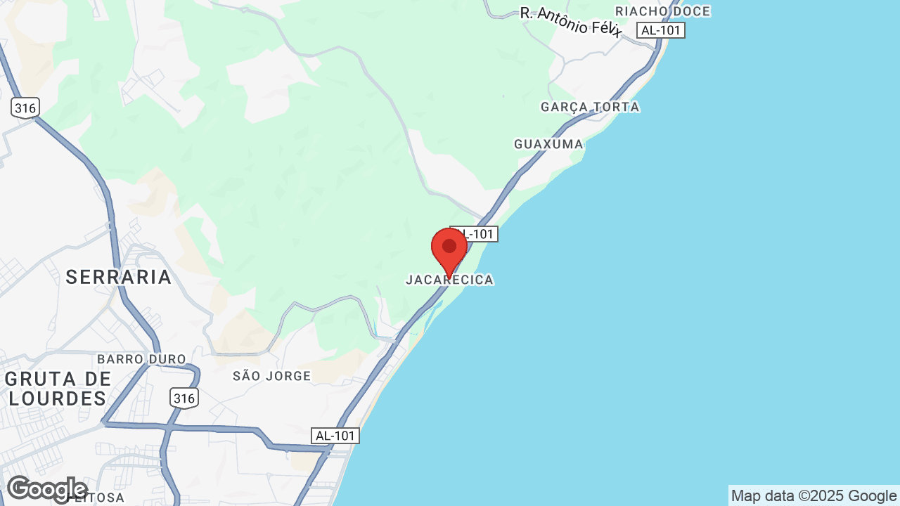 Google map