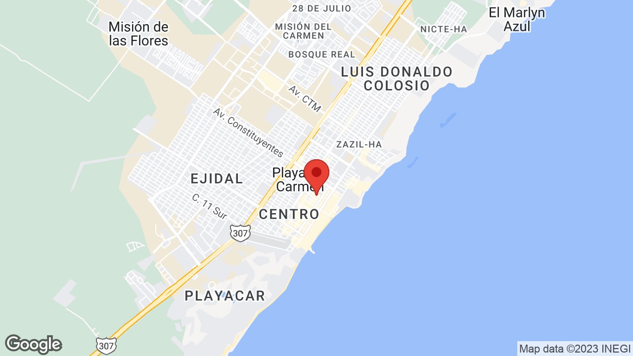 Google map