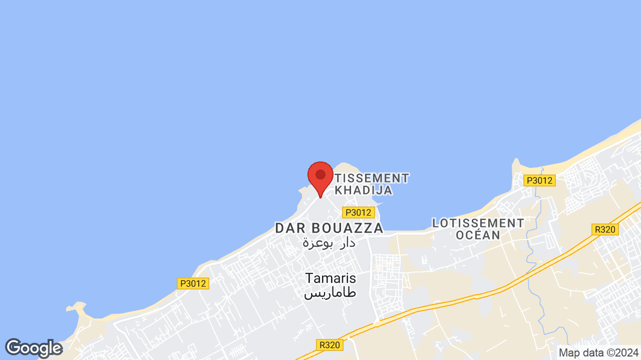 Google map