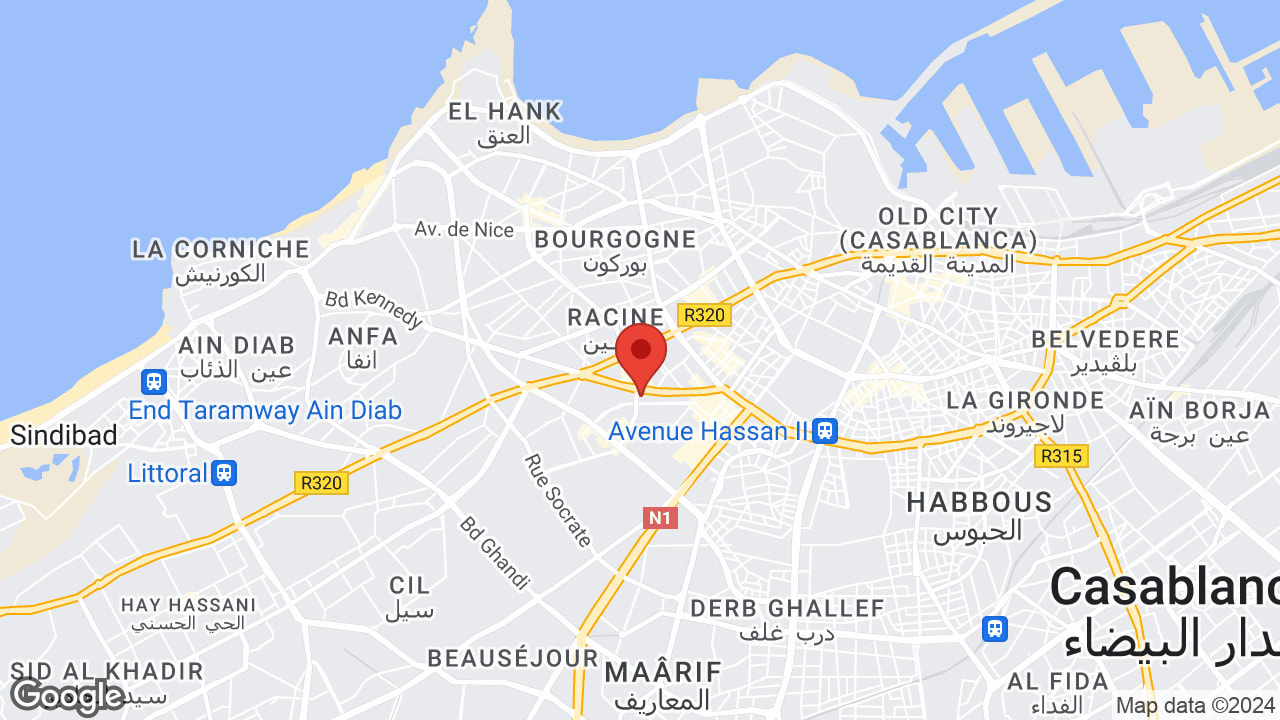 Google map