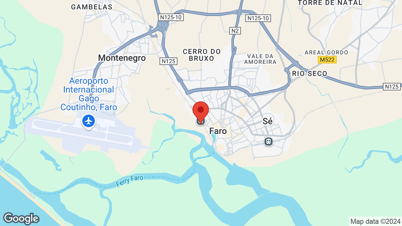 Google map