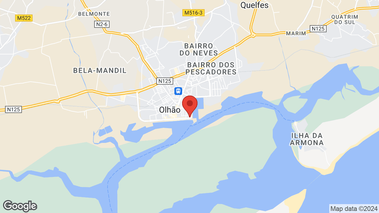 Google map