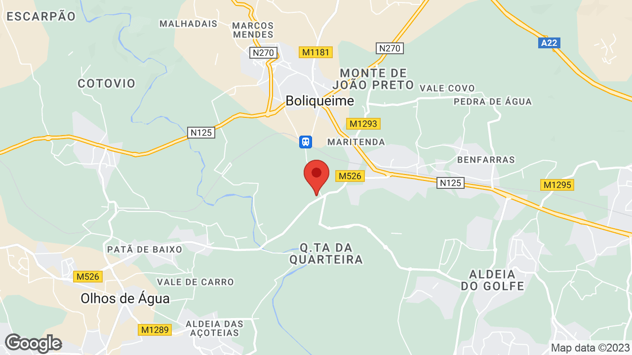 Google map