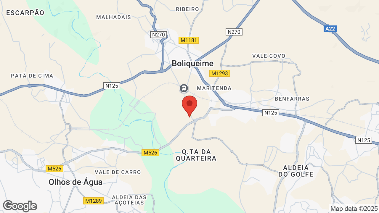 Google map