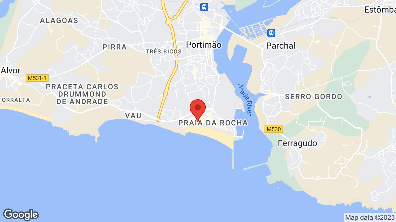 Google map