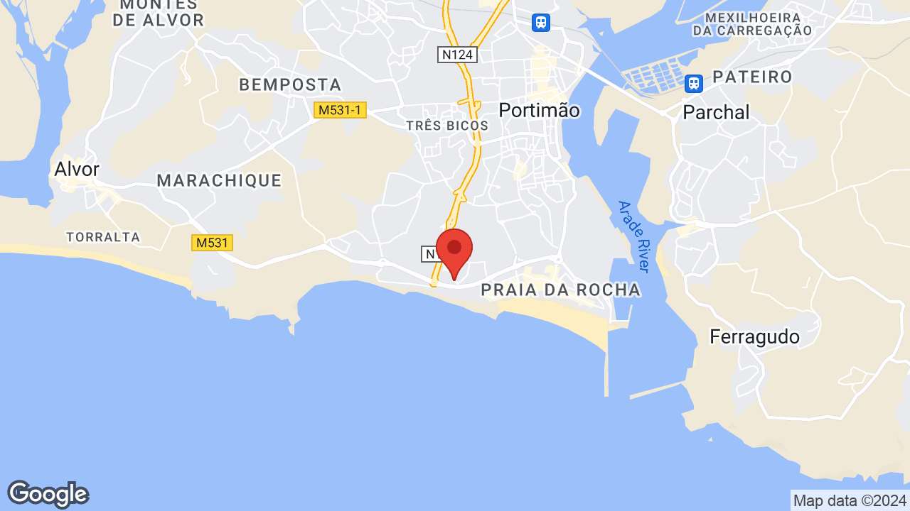 Google map