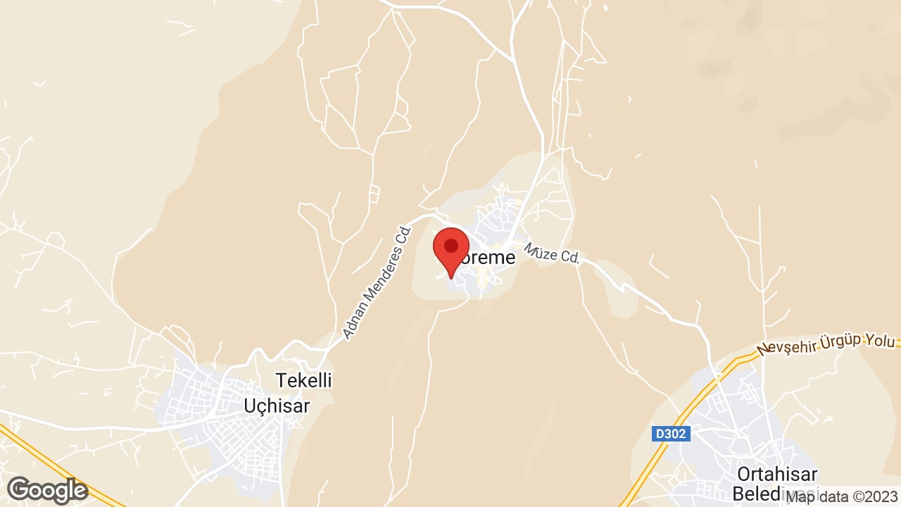 Google map