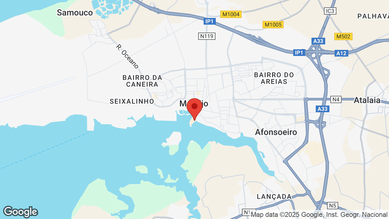 Google map