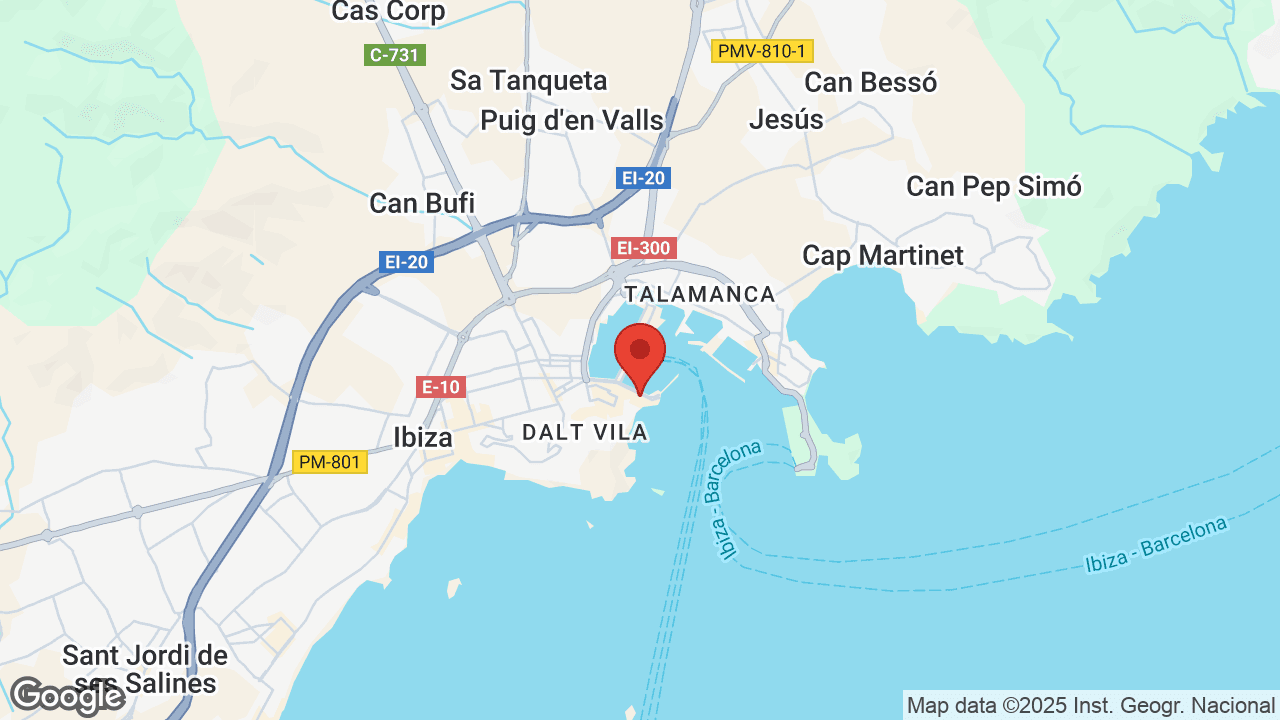 Google map