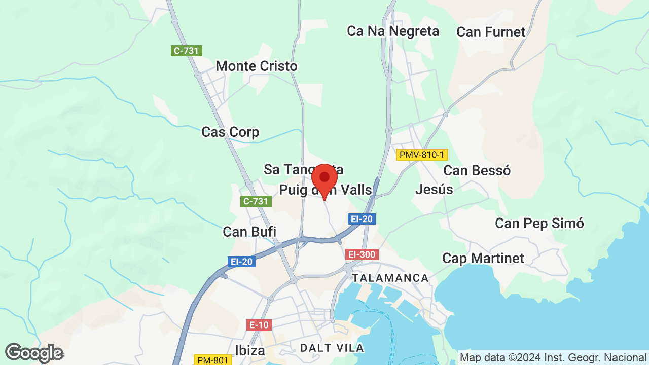 Google map