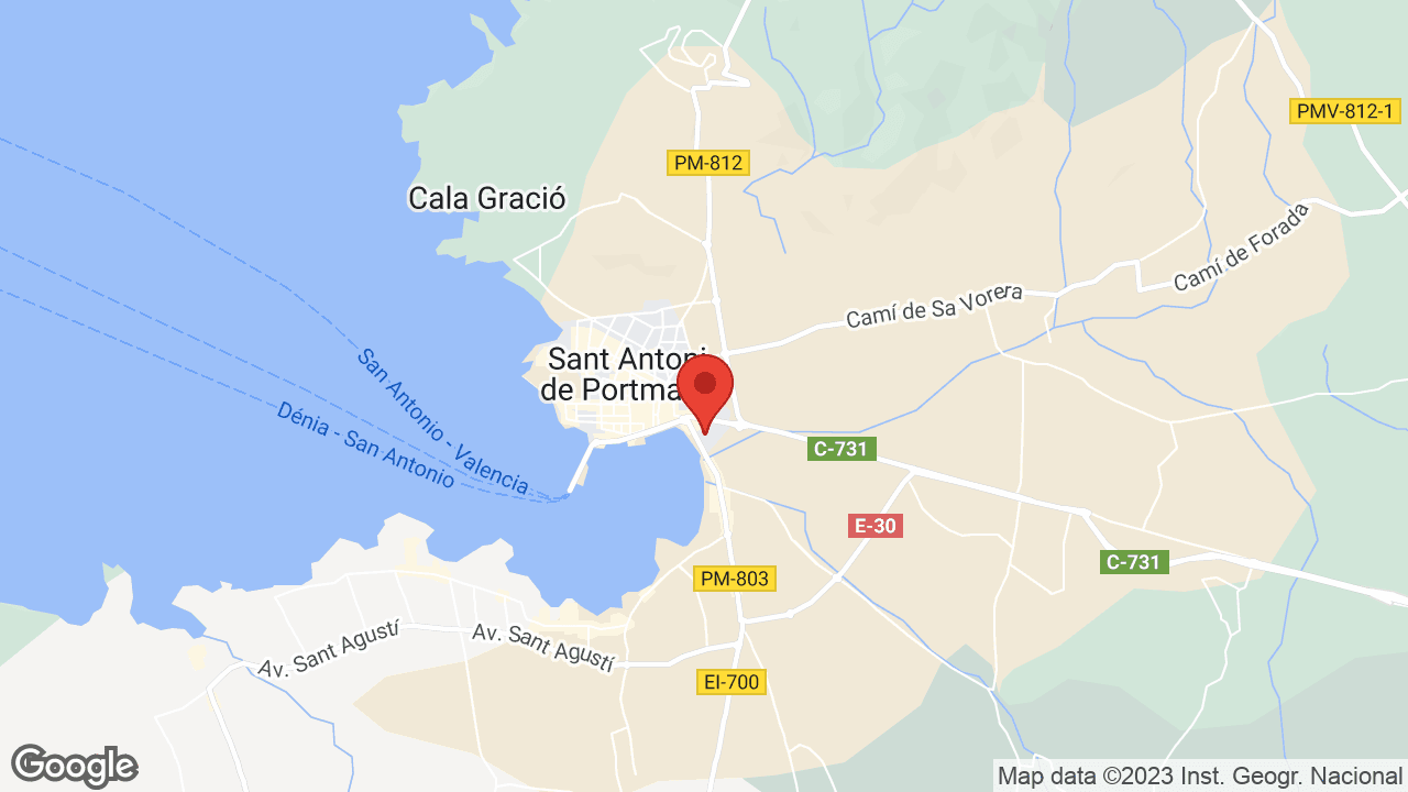 Google map