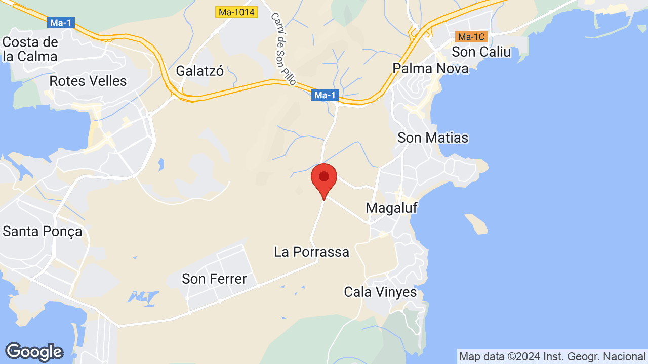 Google map