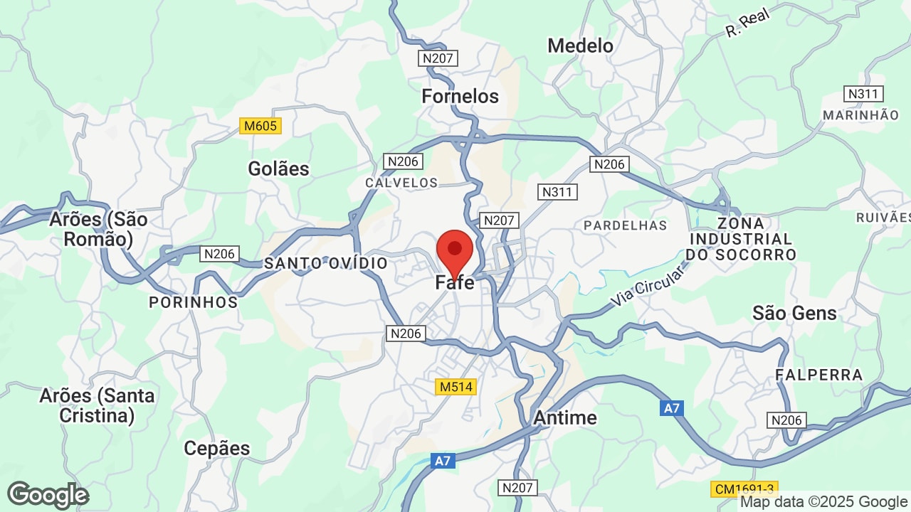 Google map