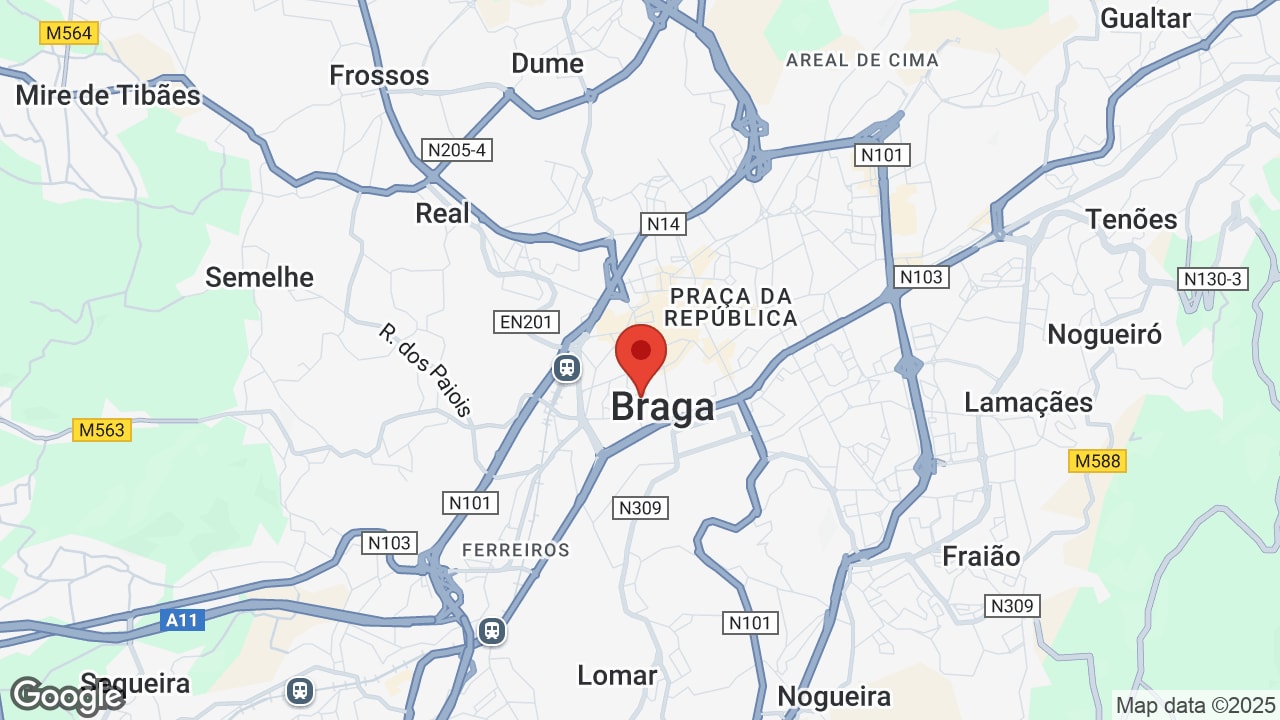 Google map