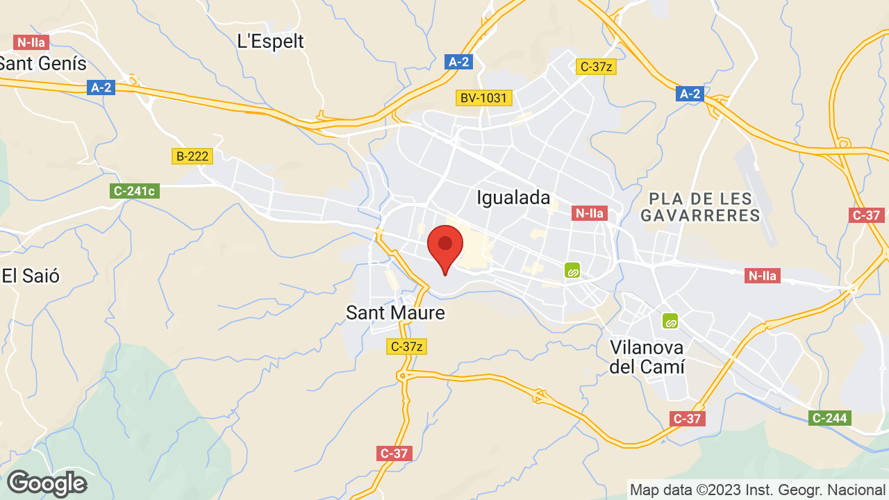 Google map