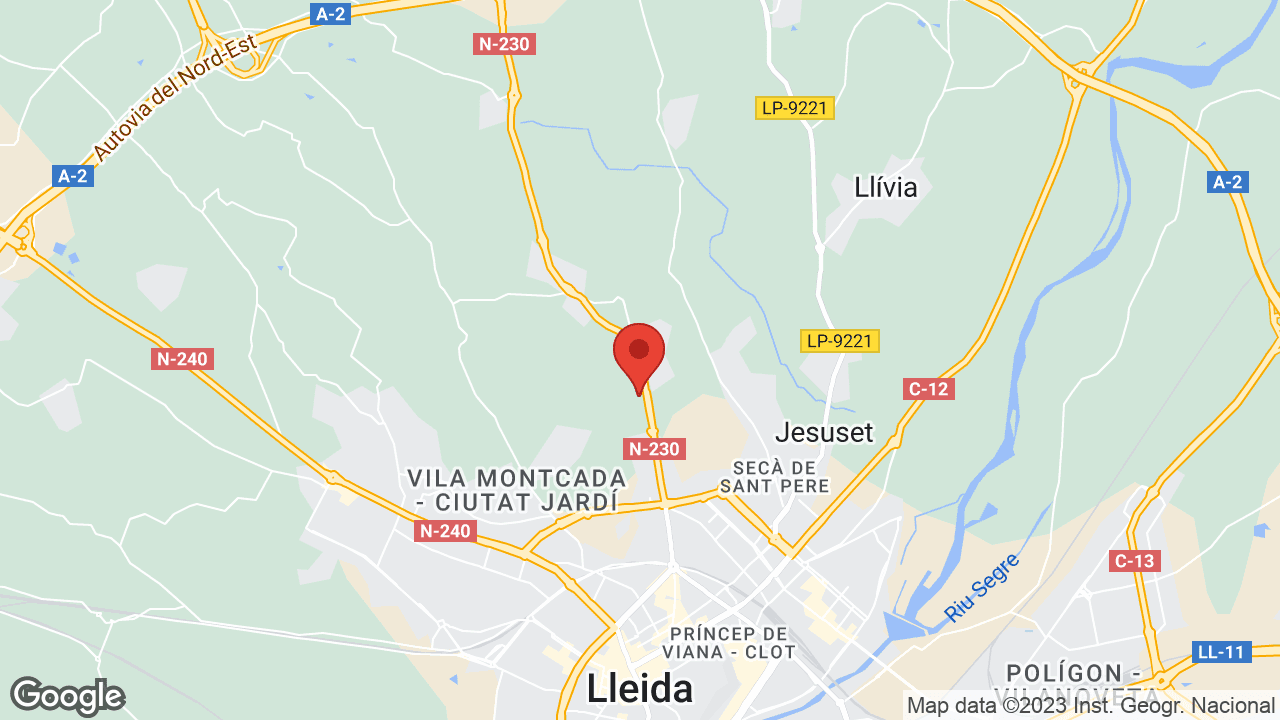 Google map
