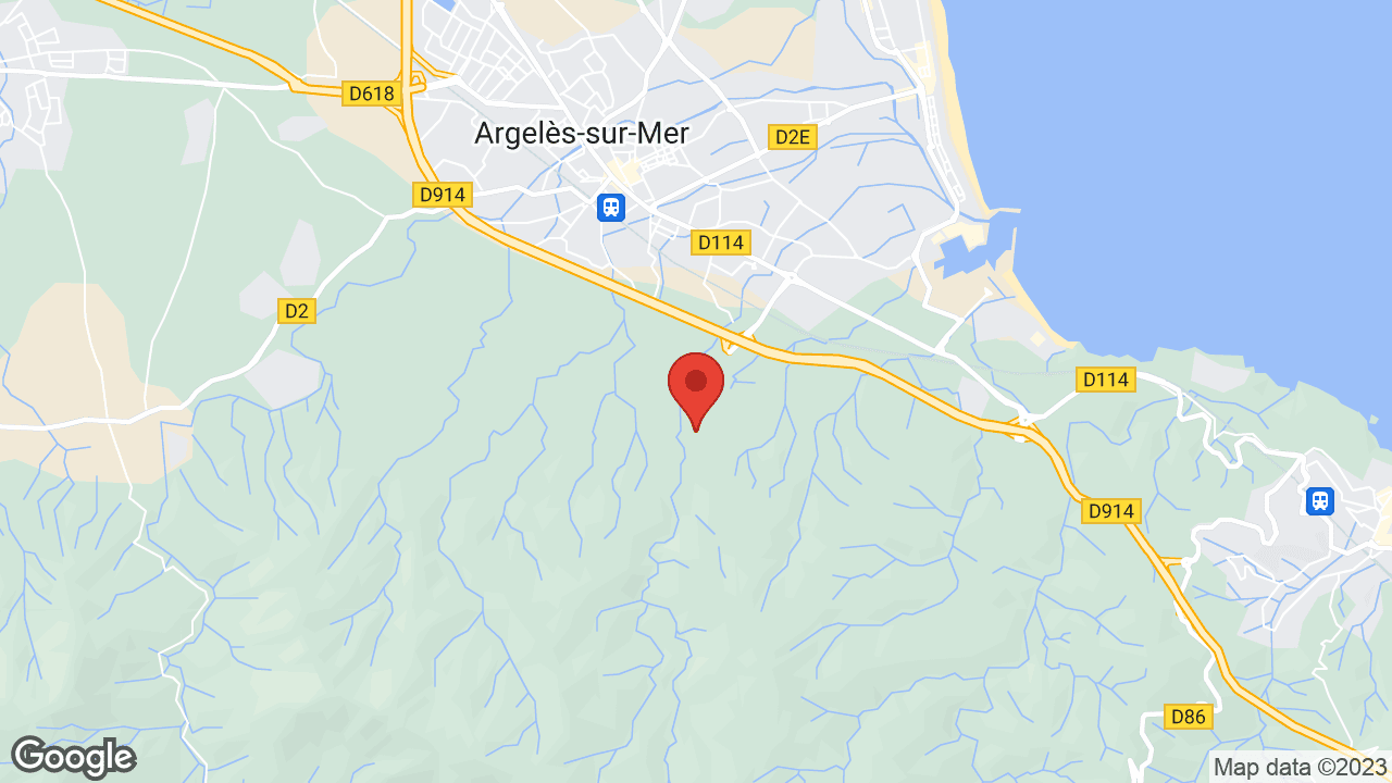 Google map