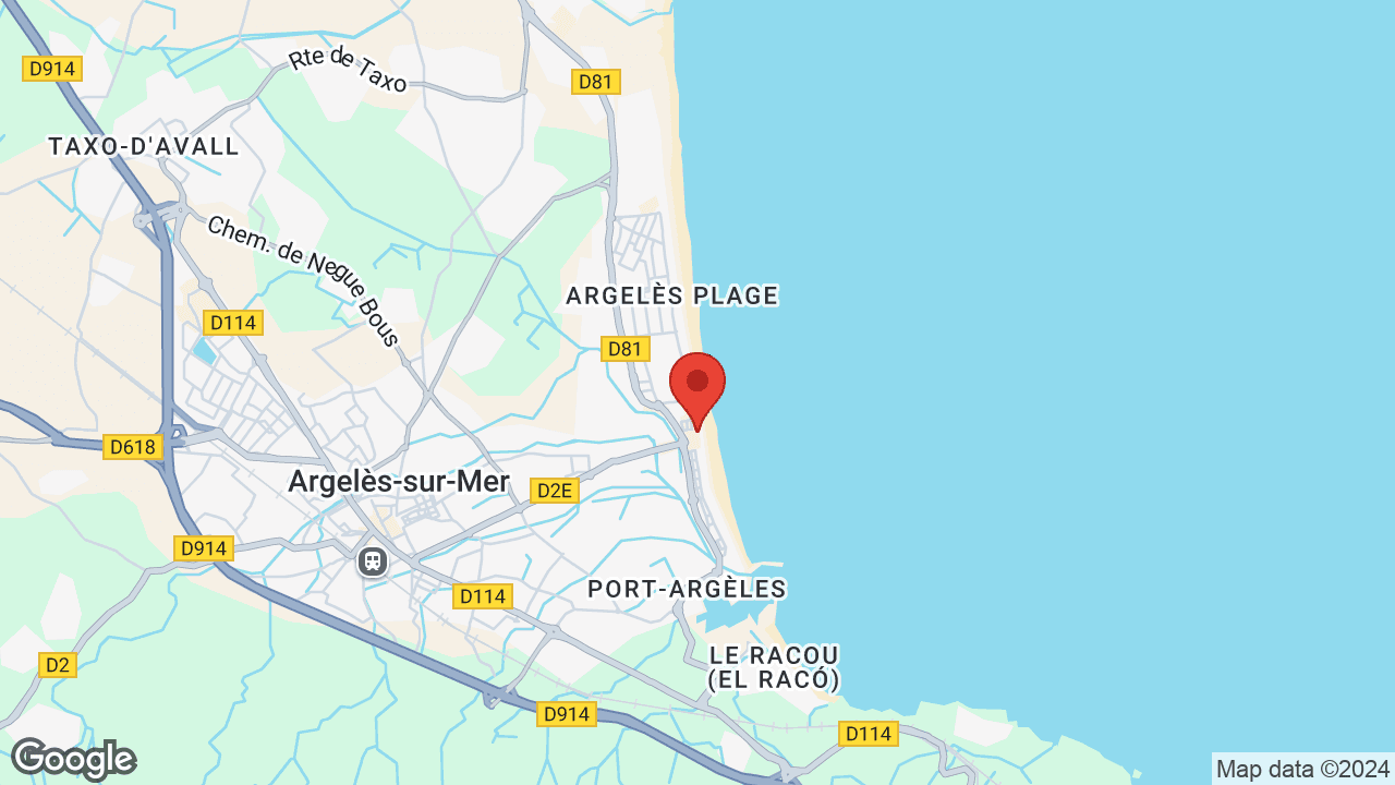 Google map
