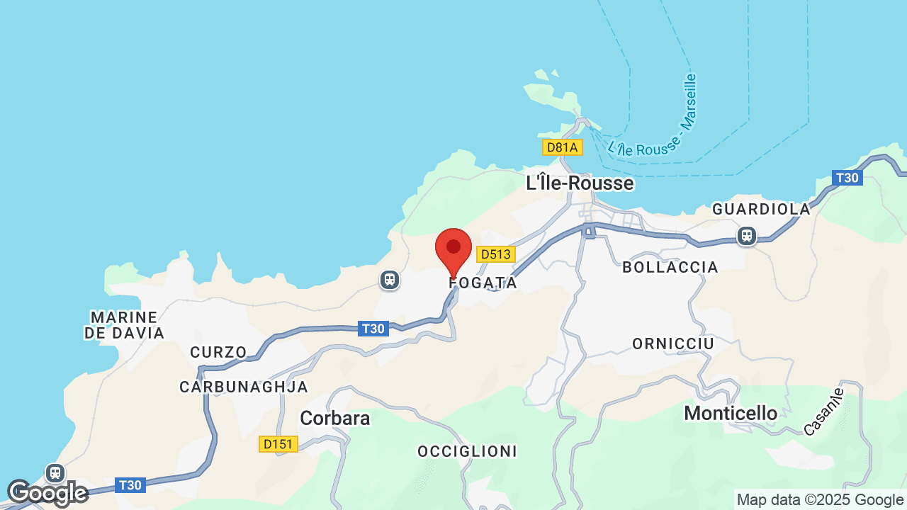 Google map