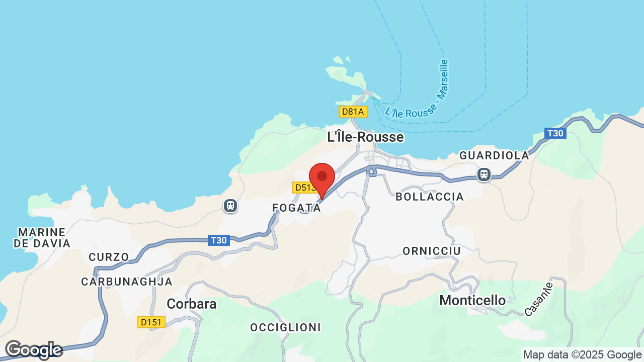 Google map