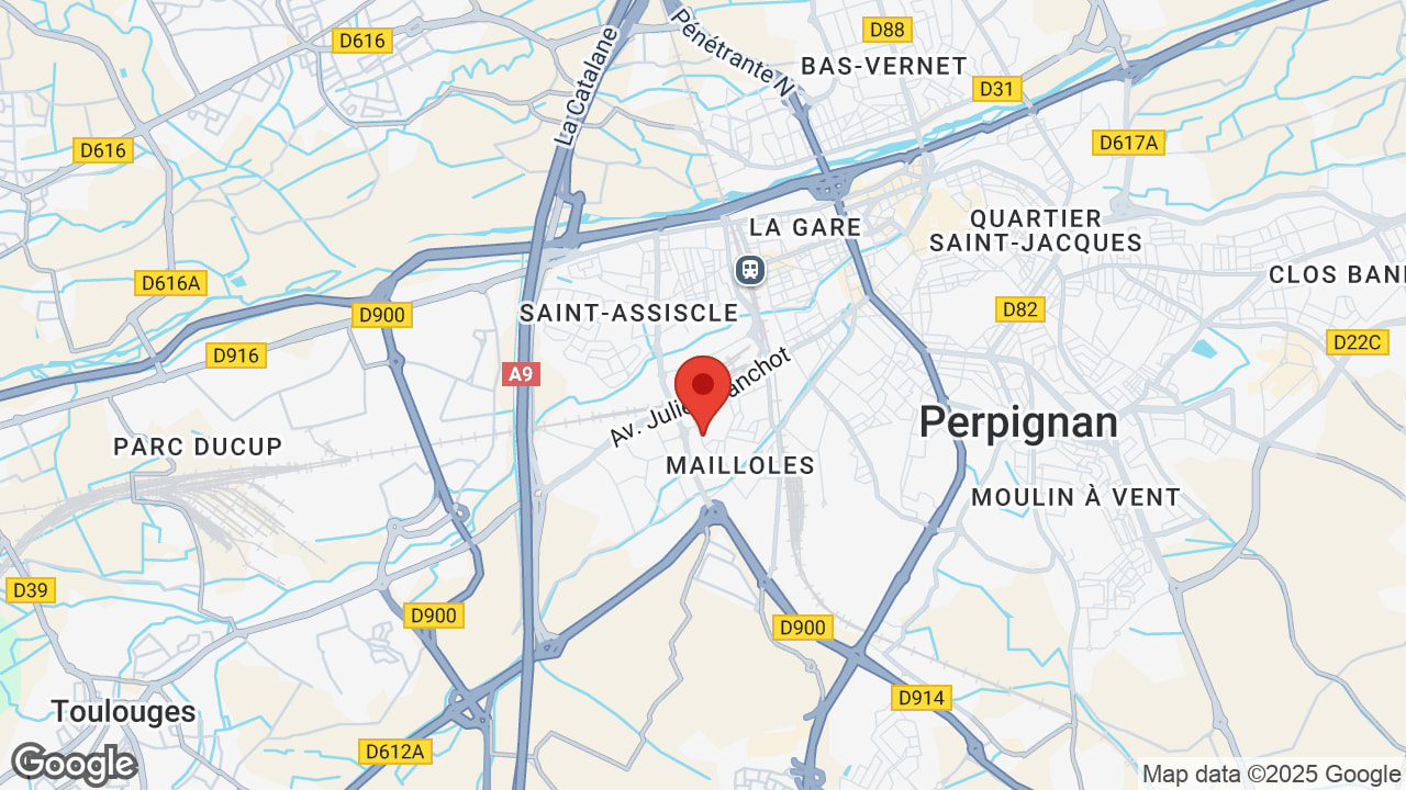 Google map