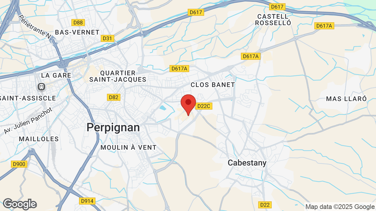 Google map