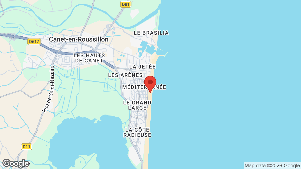 Google map
