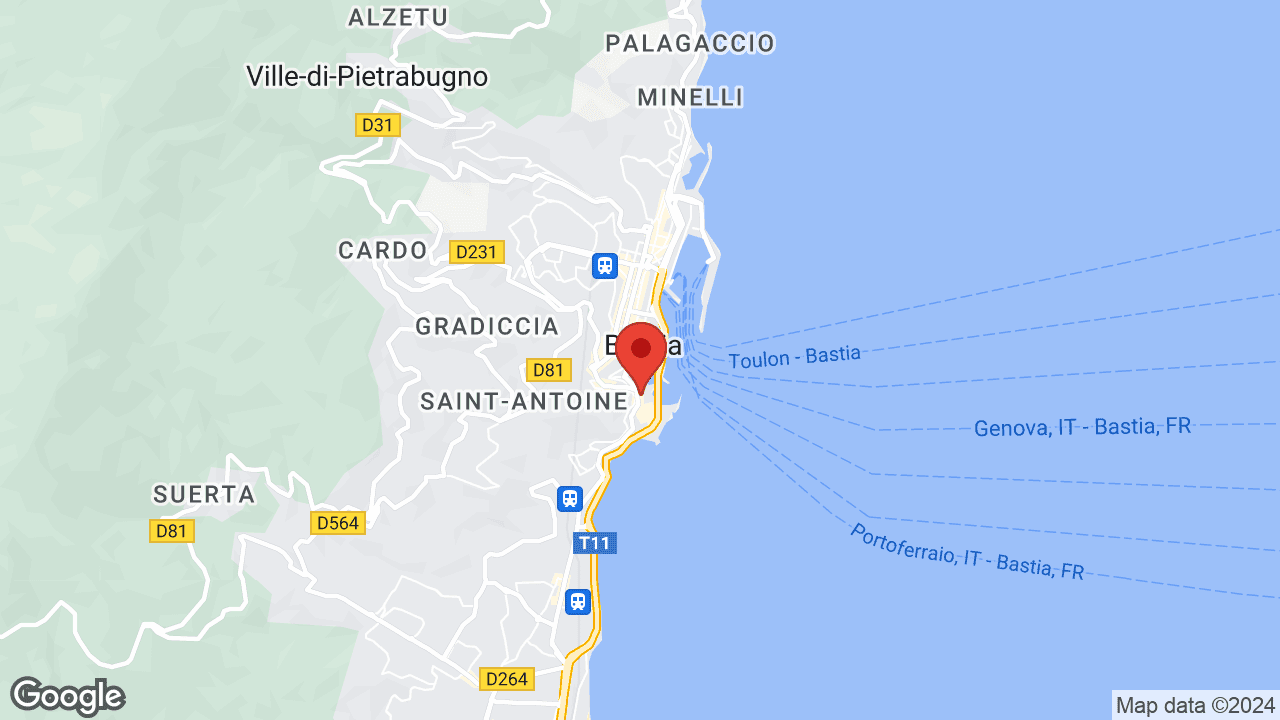 Google map