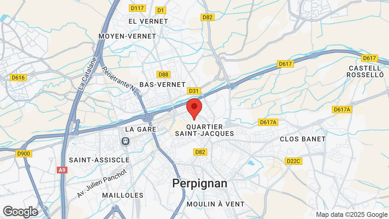 Google map