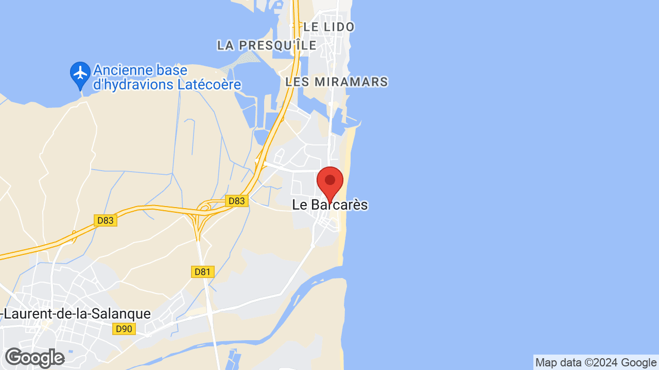 Google map