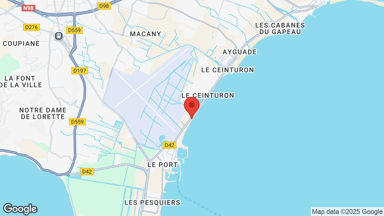 Google map